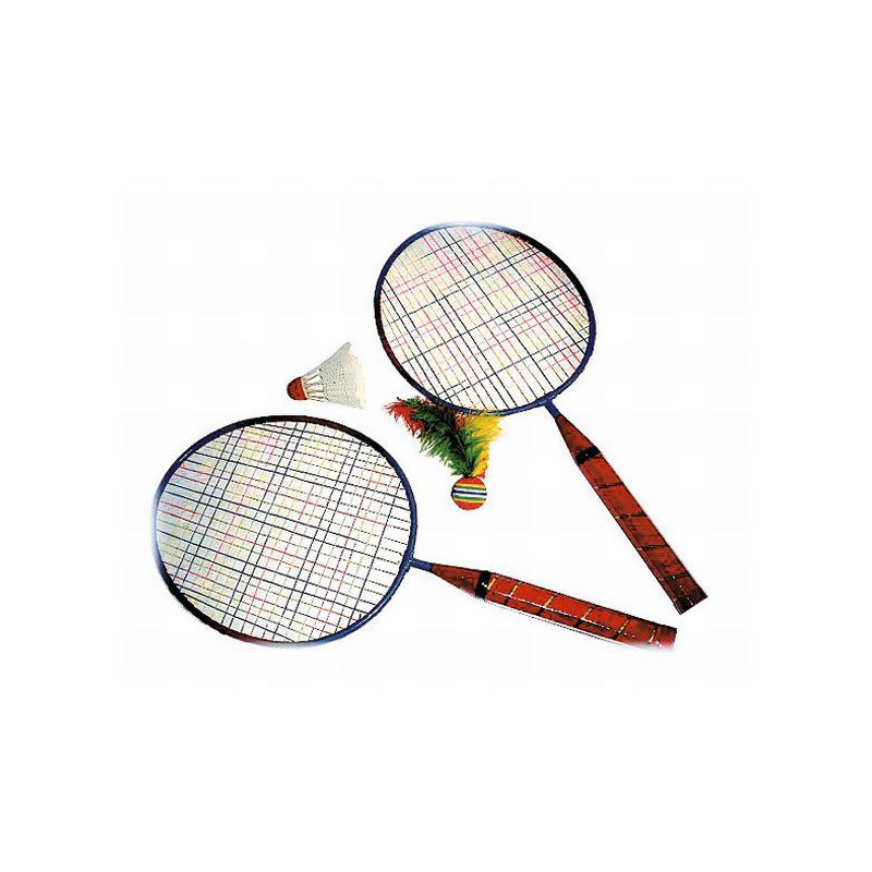 1309 - BADMINTON MANCHE COURT