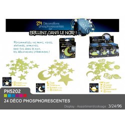 DECORATIONS PHOSPHORESCENTES x 24