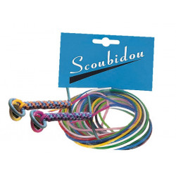 0307 - SCOUBIDOUS