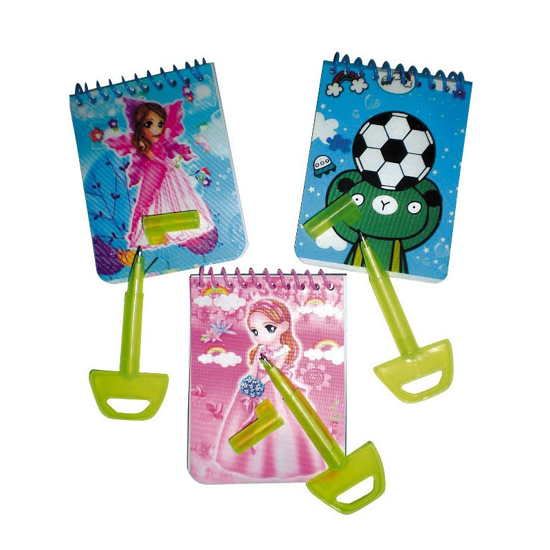 1305 - CARNET SPIRALE ET STYLO