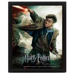 CADRE 3D LENTICULAIRE HARRY POTTER EXPELLIARMUS 26*20 CM