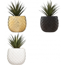 PLANTE POT ANANAS NANI 21 CM
