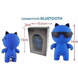 ENCEINTE BLUETOOTH CHAT 10 W INOVALLEY
