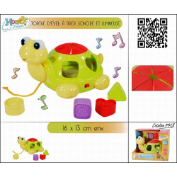 TORTUE D' EVEIL