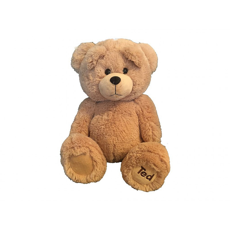 peluche ted