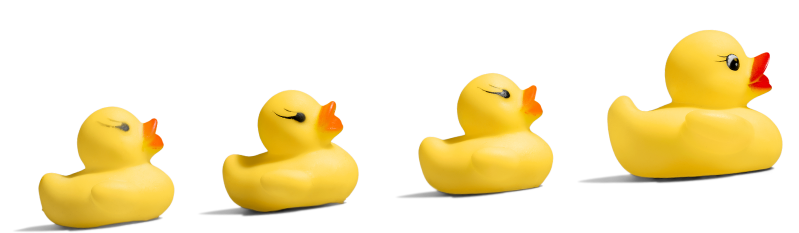 Image avec des canards en jouet