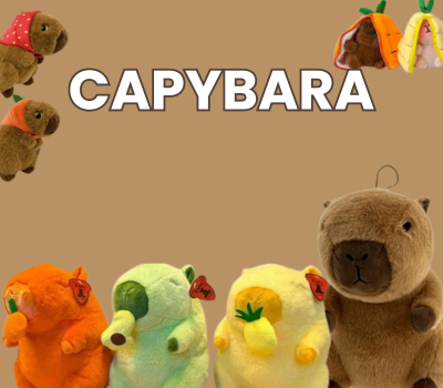 Peluche et jouet capybara